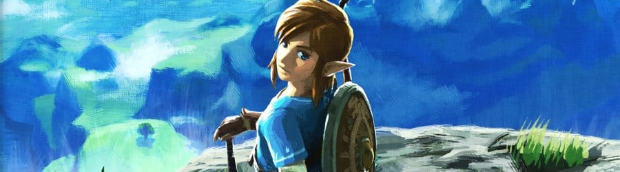 Guide: 15 Best Sidequests In Switch Games