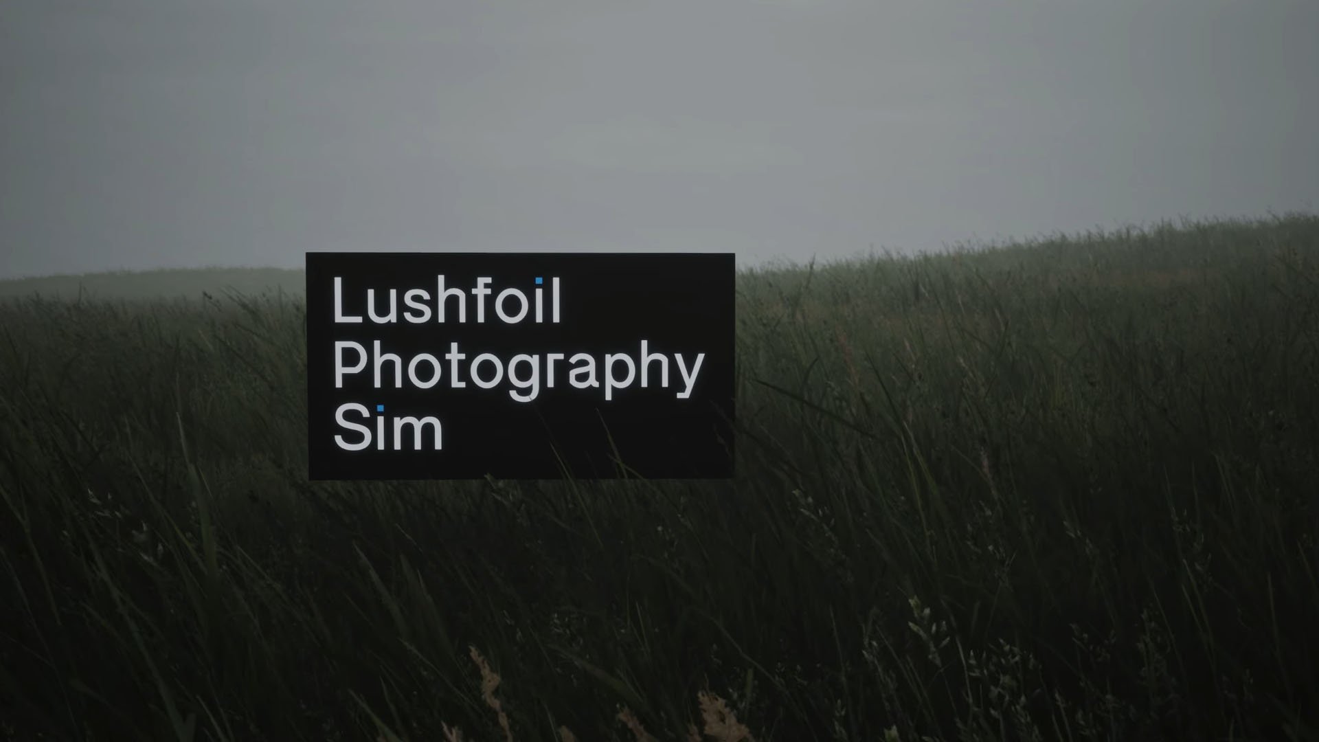 Lushfoil Photography Sim launches April 15 for PS5, Xbox Series, and PC