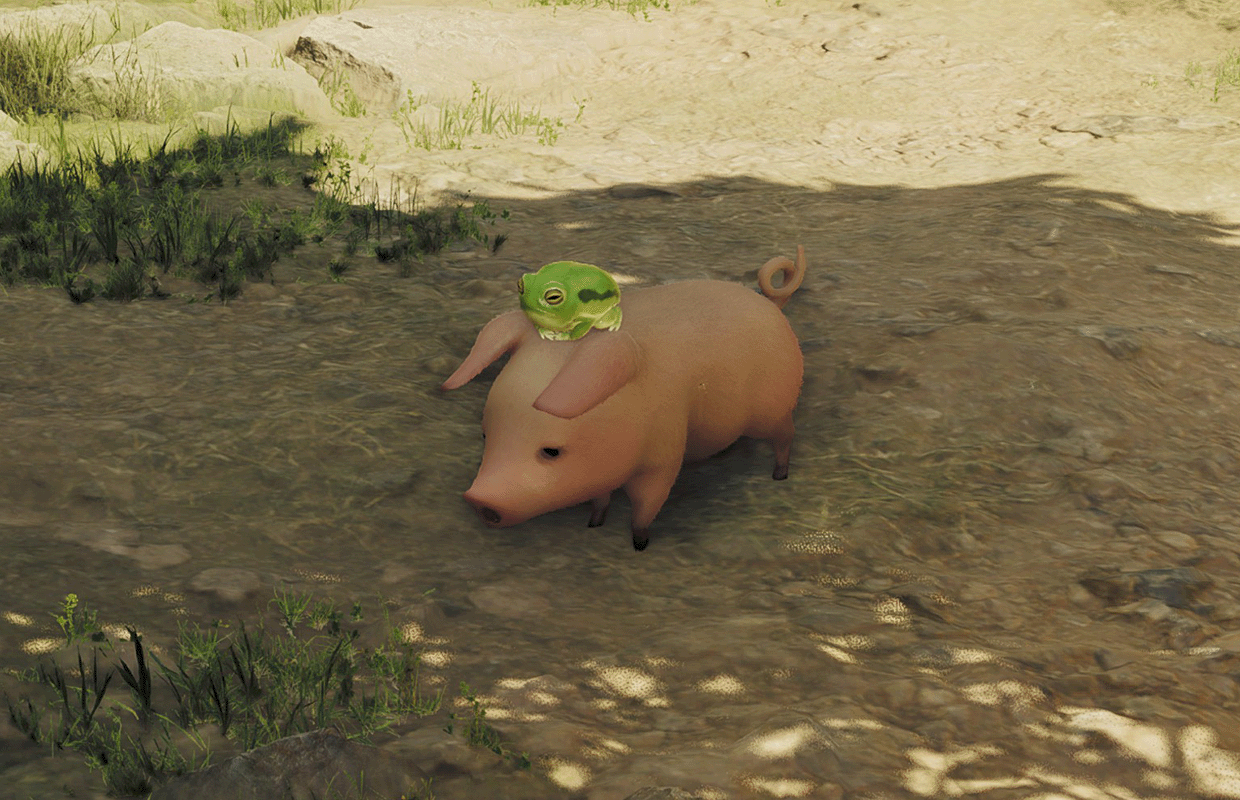 Monster Hunter Wilds Poogie Guide – Where are they, and what can you do with them?