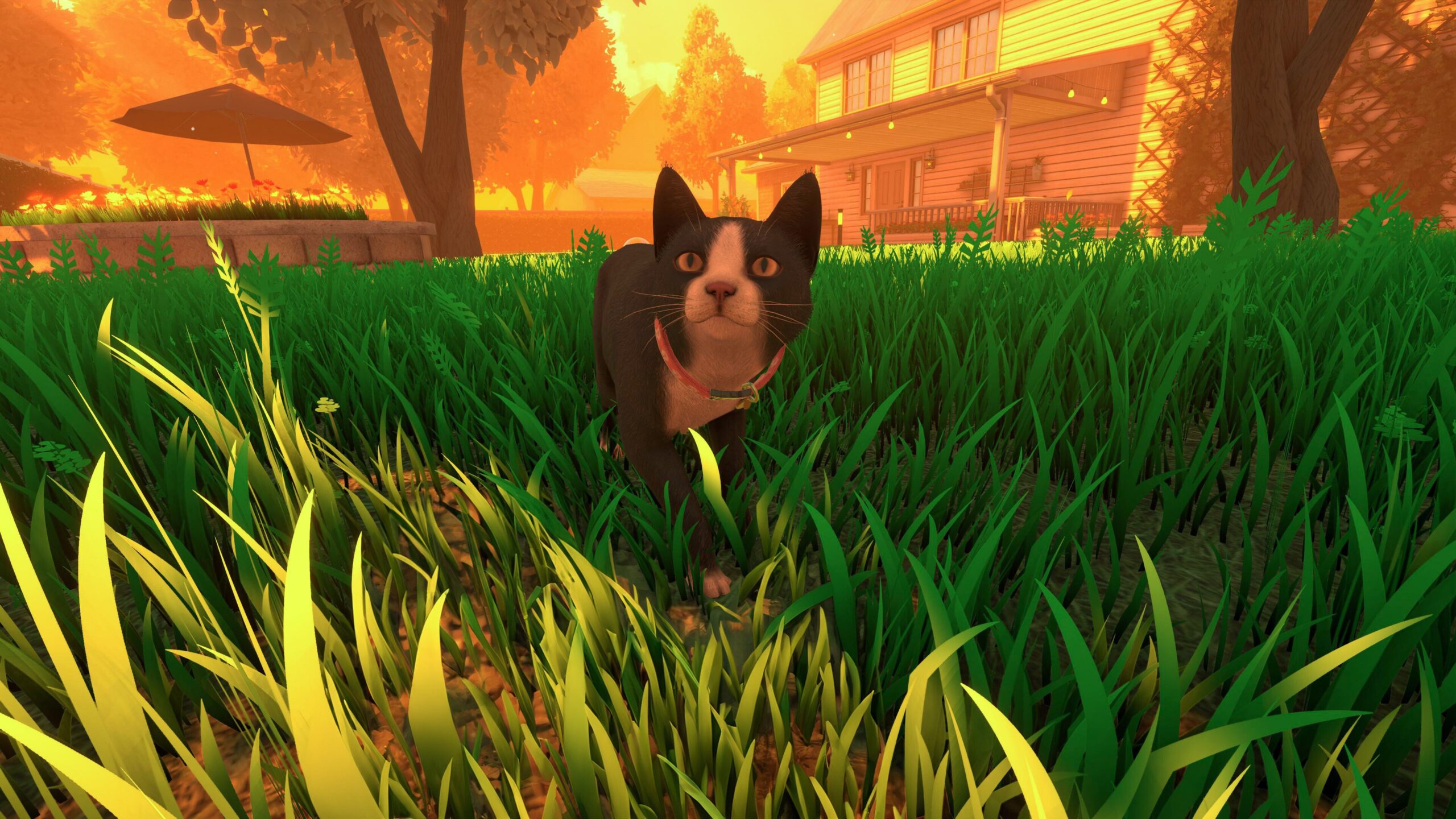 Copycat coming to PS5, Xbox Series on May 29
