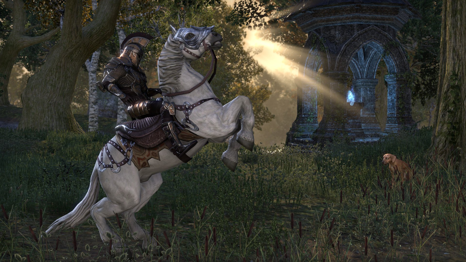 The Elder Scrolls Online is free to play for the next week