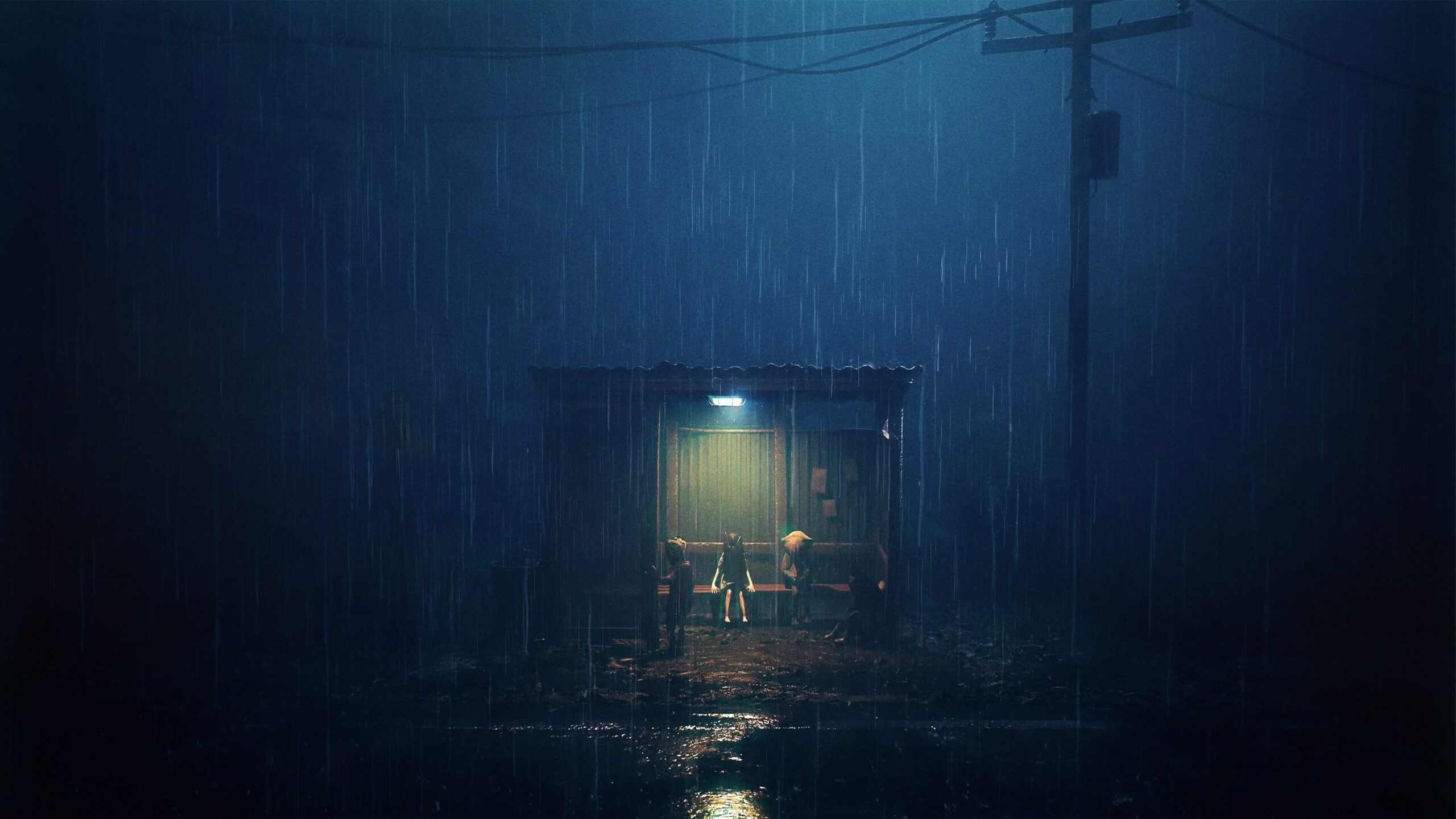 REANIMAL launches in Q1 2026