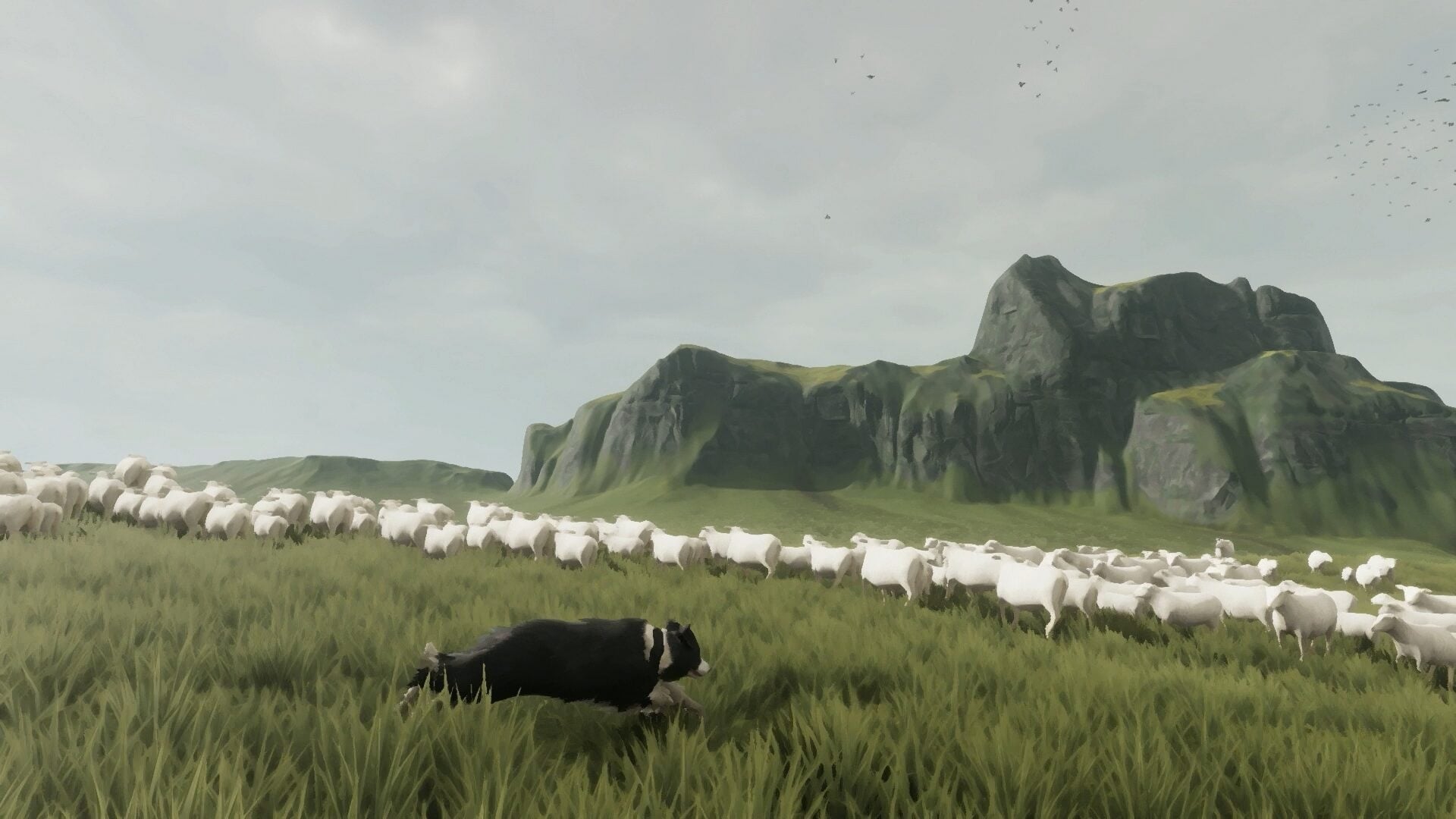 Good Dog! Atmospheric Adventure The Free Shepherd Rounds Up a 2027 Release on PS5