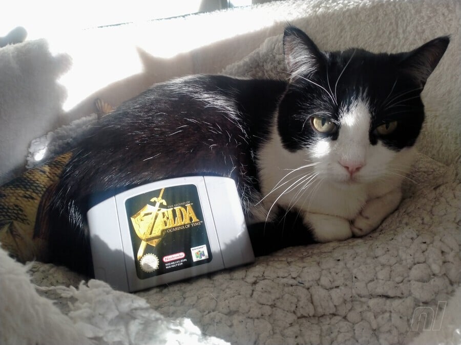 Feature: Thank You, Mum, For The Last Ocarina Of Time