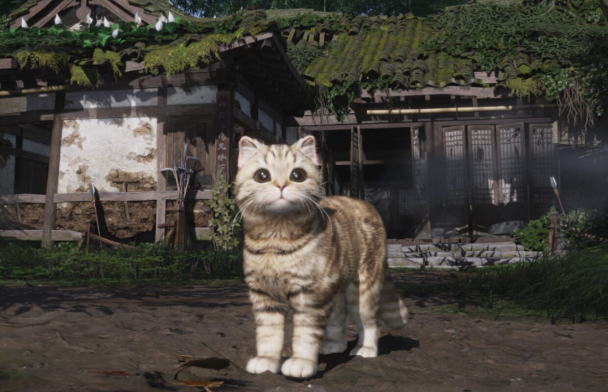 Where Winds Meet Version 1.8 ‘Companions Make Home’ launches June 25
